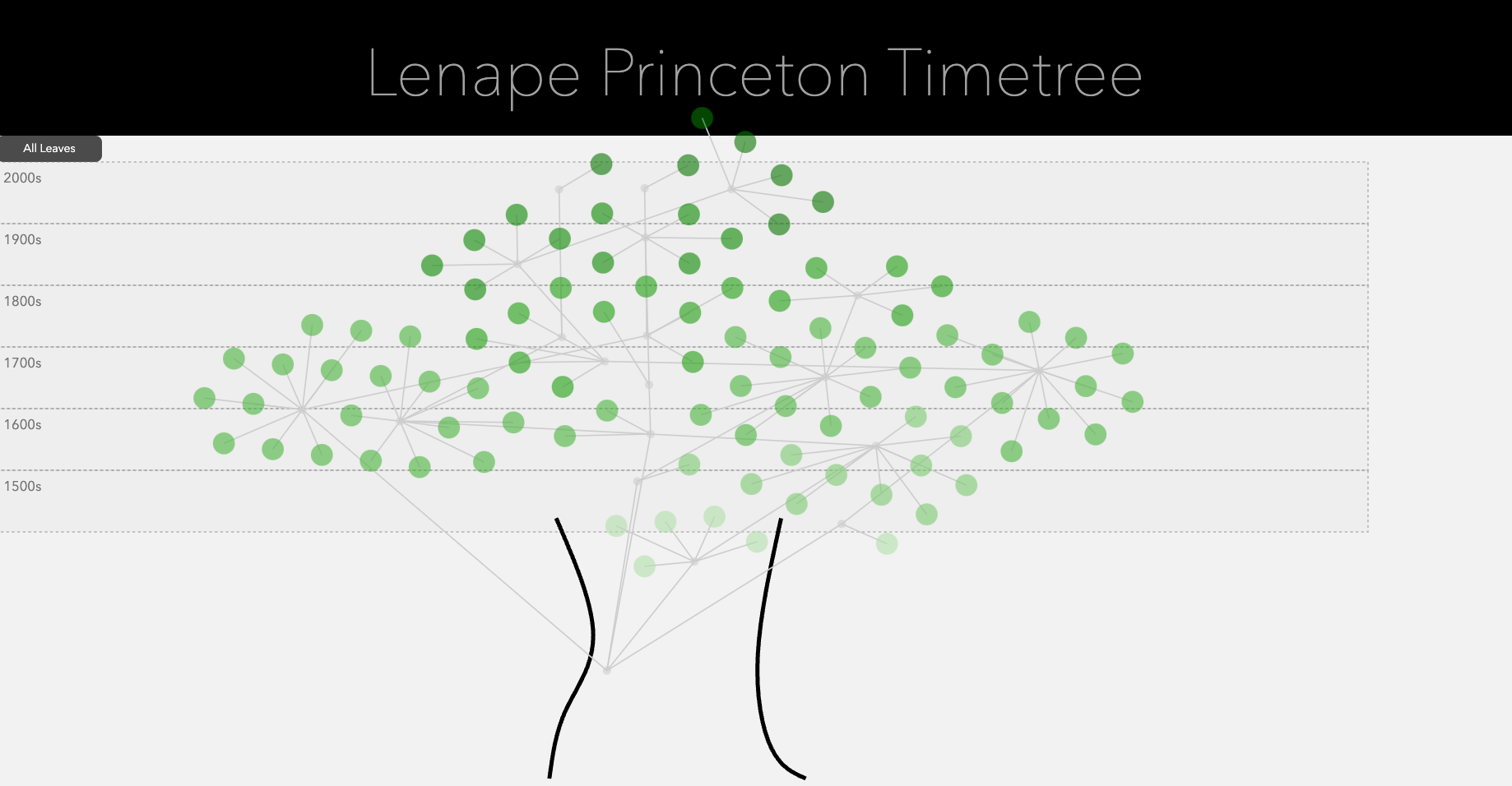 Screenshot of the draft Lenape timetree site showing the leaves algorithmically laid out using a network and d3.js forces