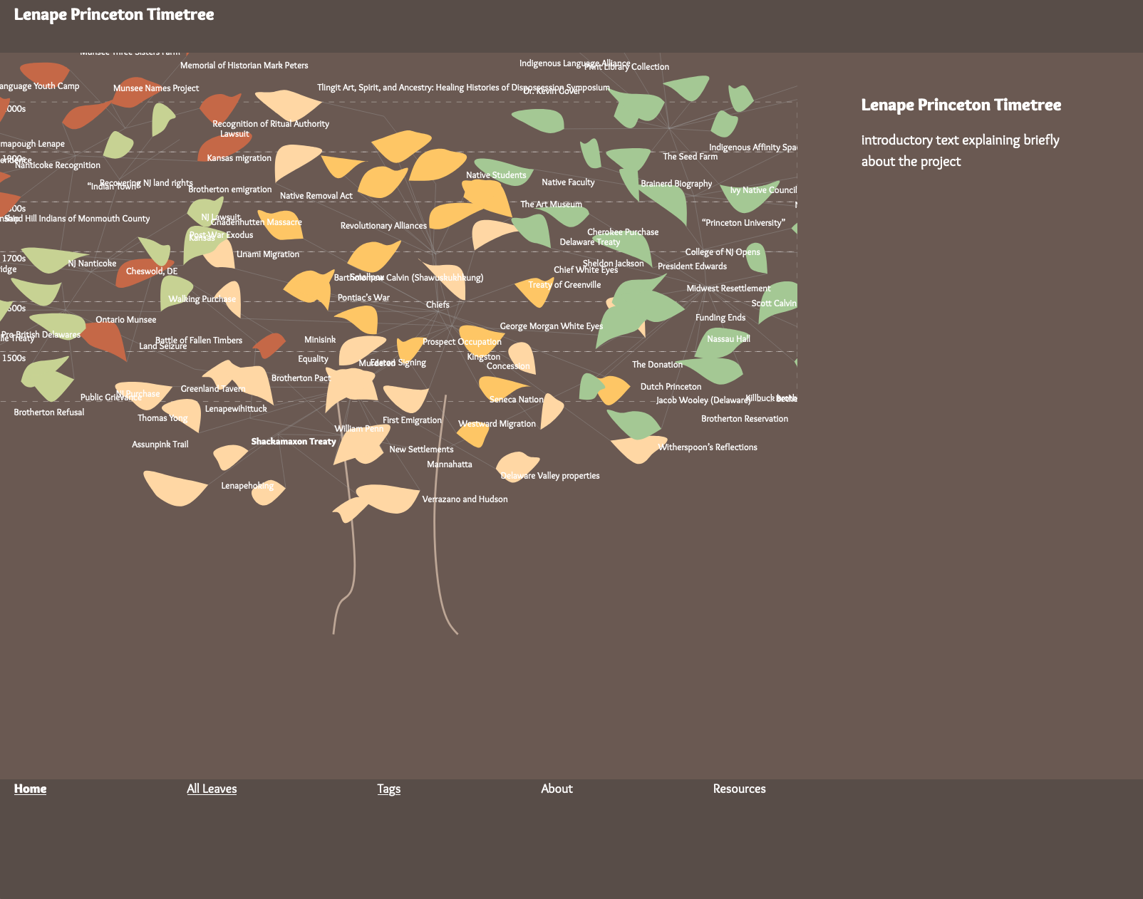 Screenshot of current development version of the Lenape Princeton Timetree, showing leaf shapes and latest leaf data