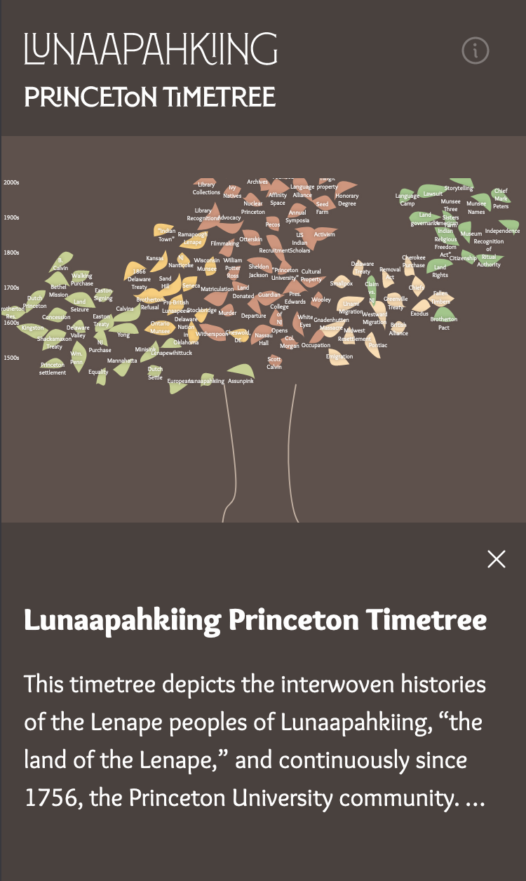 Screenshot of the Lenape timetree project on mobile showing the info button to redisplay the intro when closed