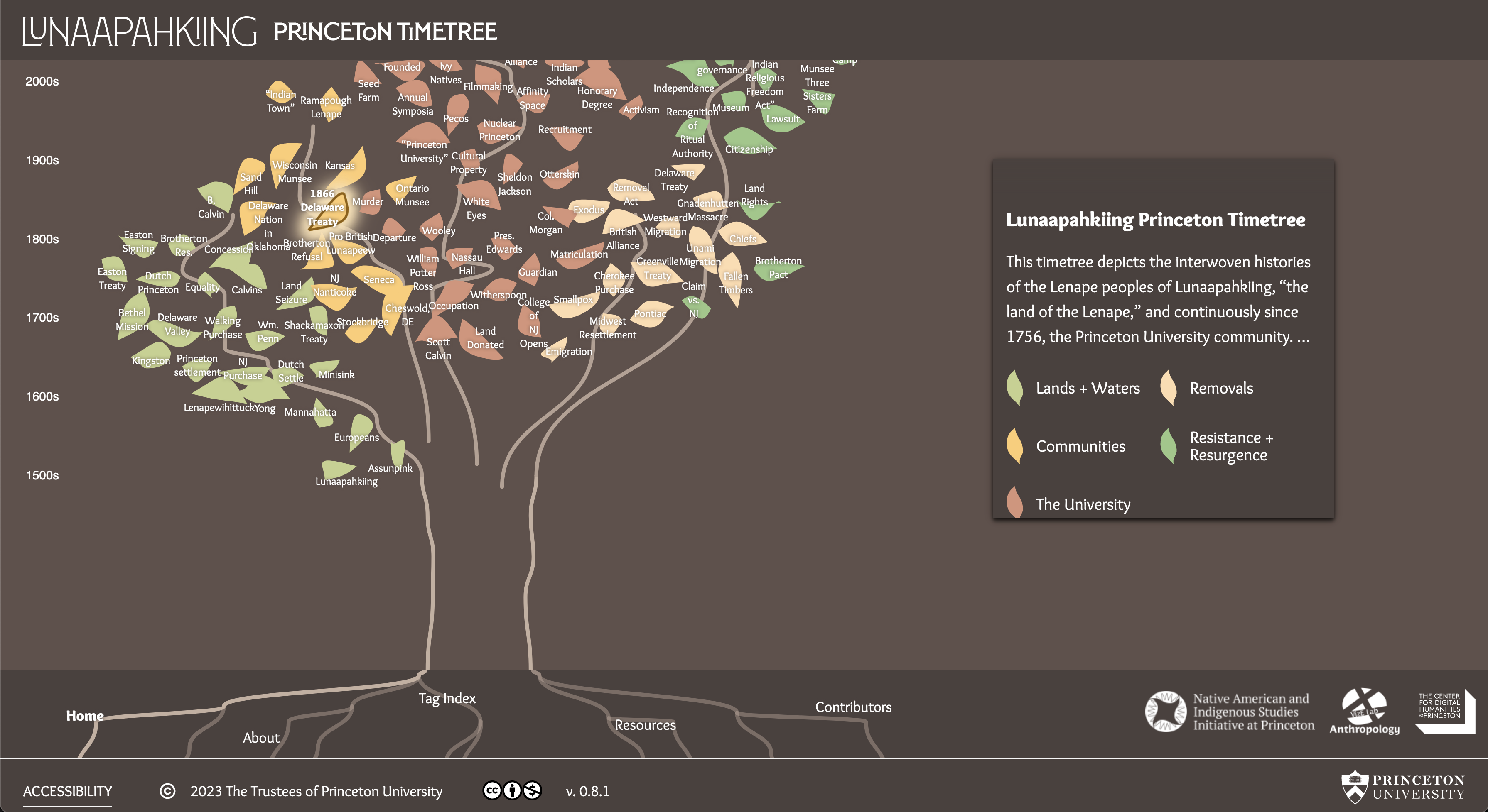 Screenshot of Lenape Timetree project showing drawn lines for branches and branch legend in the introduction panel.